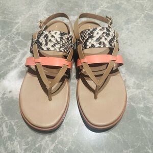 Cole Haan SZ 8.5 Anica Lux Buckle Sandollar Snake Print Leather Open Toe Flats